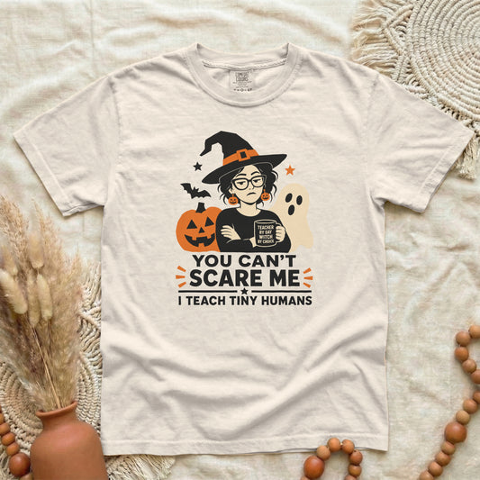 9MB7SM67__p94_D006_YouCantScareMeITeachTinyHumans_L.png