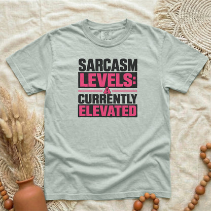 Bay garment-dyed cotton tee printed with "Sarcasm Levels: Currently Elevated".