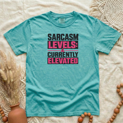 Seafoam garment-dyed cotton tee printed with "Sarcasm Levels: Currently Elevated".
