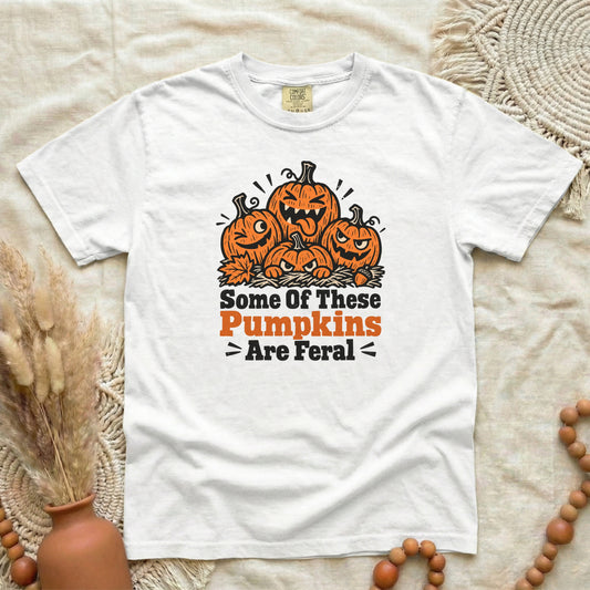 QRRH1T1X__p94_D009_SomeOfThesePumpkinsAreFeral_alt3_L.png