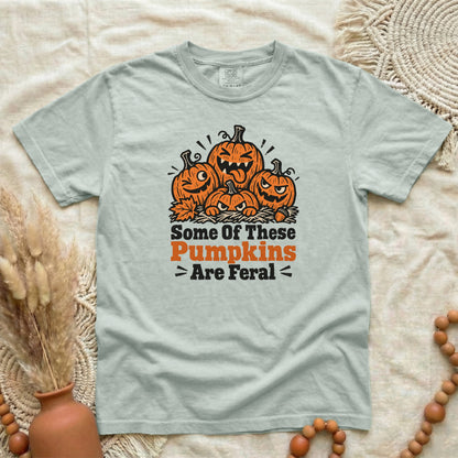 QRRH1T1X__p94_D009_SomeOfThesePumpkinsAreFeral_alt3_L.png