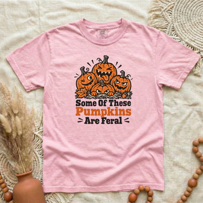 QRRH1T1X__p94_D009_SomeOfThesePumpkinsAreFeral_alt3_L.png